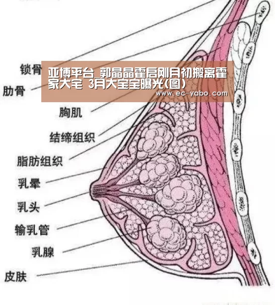 亚博平台