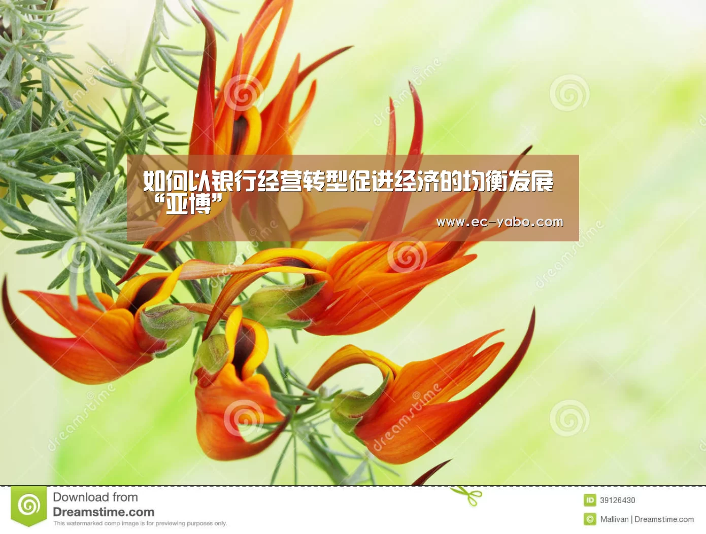 如何以银行经营转型促进经济的均衡发展“亚博”(图1) 亚博平台