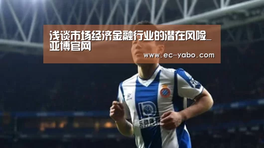 浅谈市场经济金融行业的潜在风险_亚博官网(图4) 亚博官网