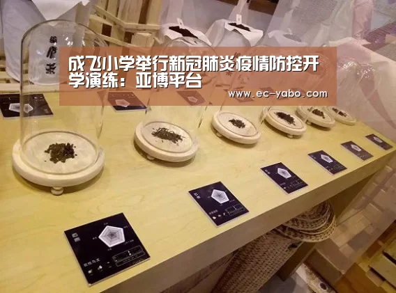 成飞小学举行新冠肺炎疫情防控开学演练:亚博平台(图1) 亚博体育