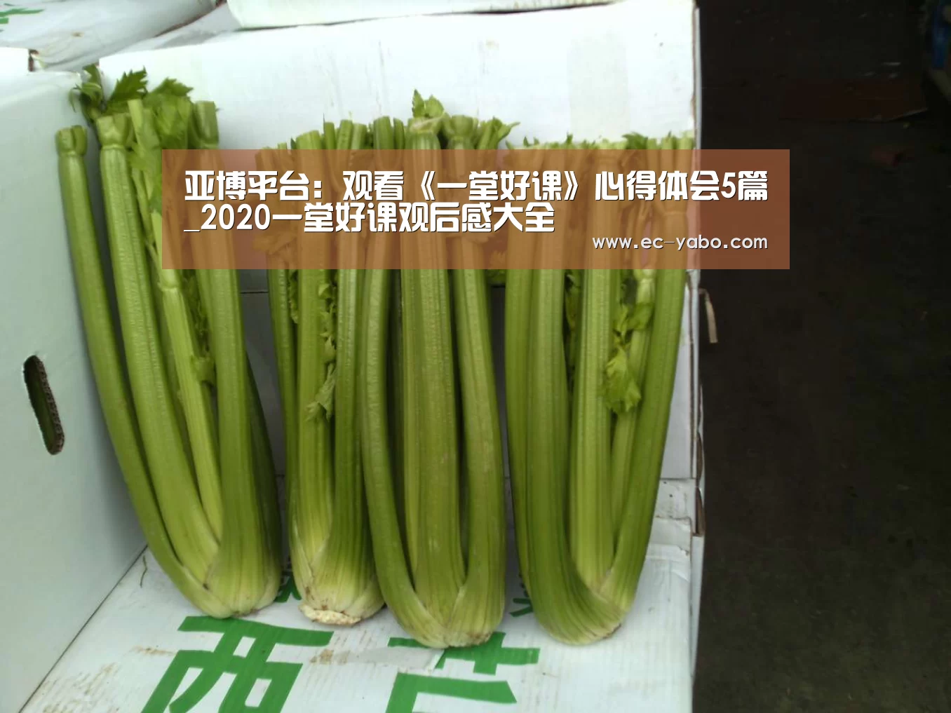 亚博平台