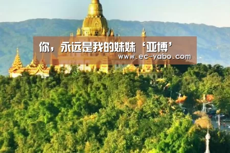 你,永远是我的妹妹‘亚博’(图1) 亚博平台