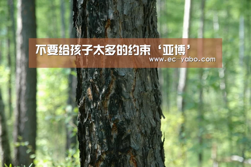 亚博体育