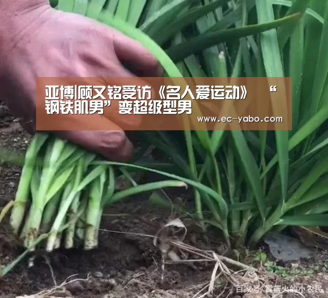 亚博官网