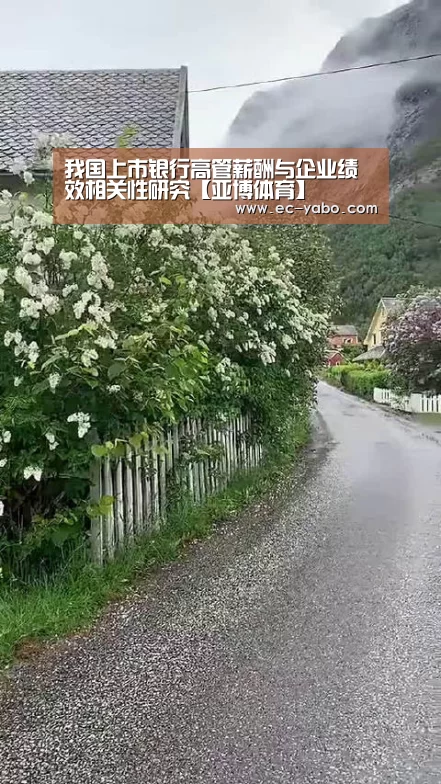 我国上市银行高管薪酬与企业绩效相关性研究【亚博体育】(图2) 亚博