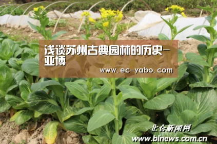 浅谈苏州古典园林的历史-亚博(图3) 亚博