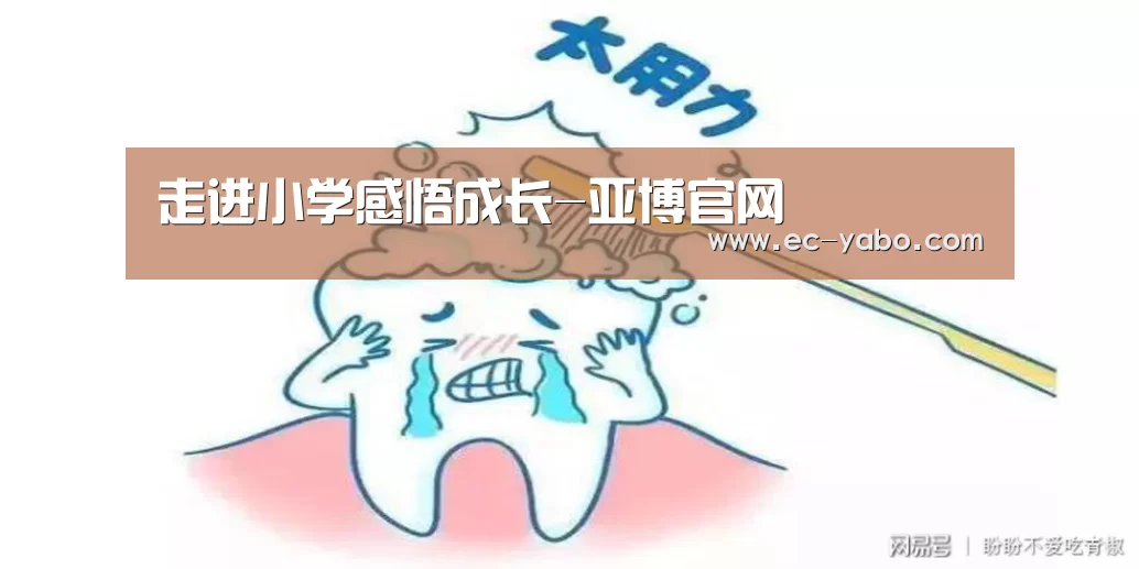 走进小学感悟成长-亚博官网(图3) 亚博