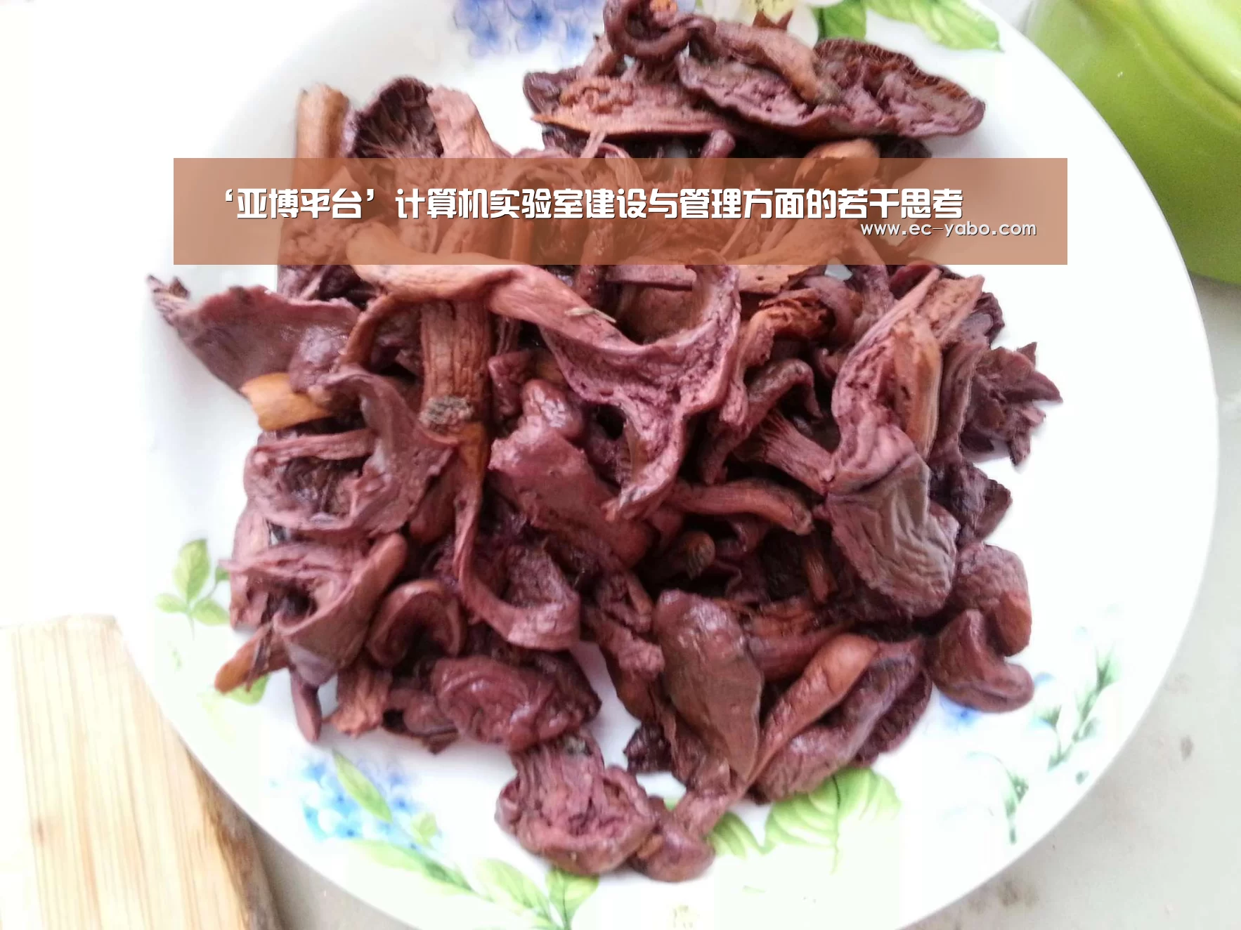 ‘亚博平台’计算机实验室建设与管理方面的若干思考(图3) 亚博