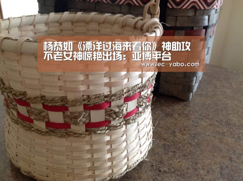 杨恭如《漂洋过海来看你》神助攻 不老女神惊艳出场:亚博平台(图1) 亚博体育