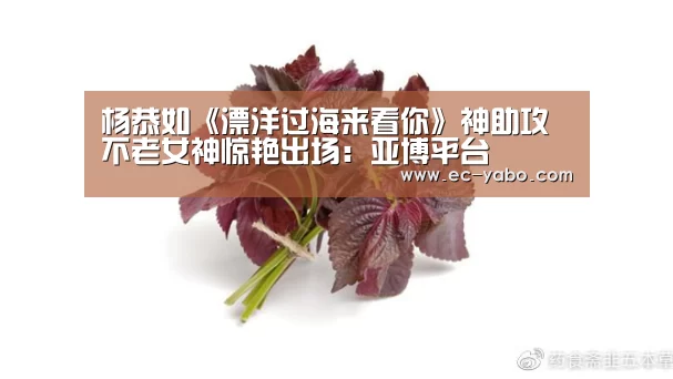 杨恭如《漂洋过海来看你》神助攻 不老女神惊艳出场:亚博平台(图2) 亚博平台
