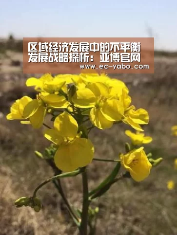 区域经济发展中的不平衡发展战略探析:亚博官网(图3) 亚博官网