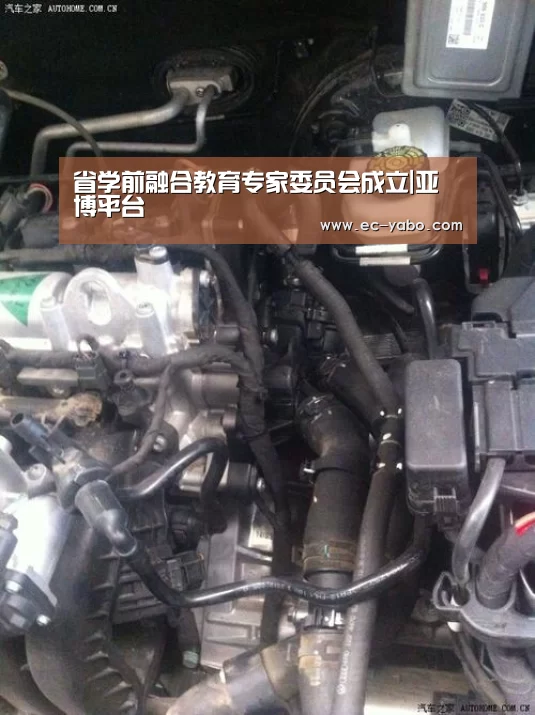 省学前融合教育专家委员会成立|亚博平台(图2) 亚博